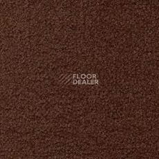 Ковролин Radici Forum Cacao 2105 фото 1 | FLOORDEALER